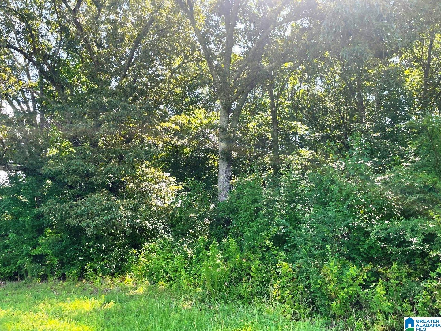 State Lake Road, Unit 24 04 Wedowee, AL 36278 - Photo 4 of 9