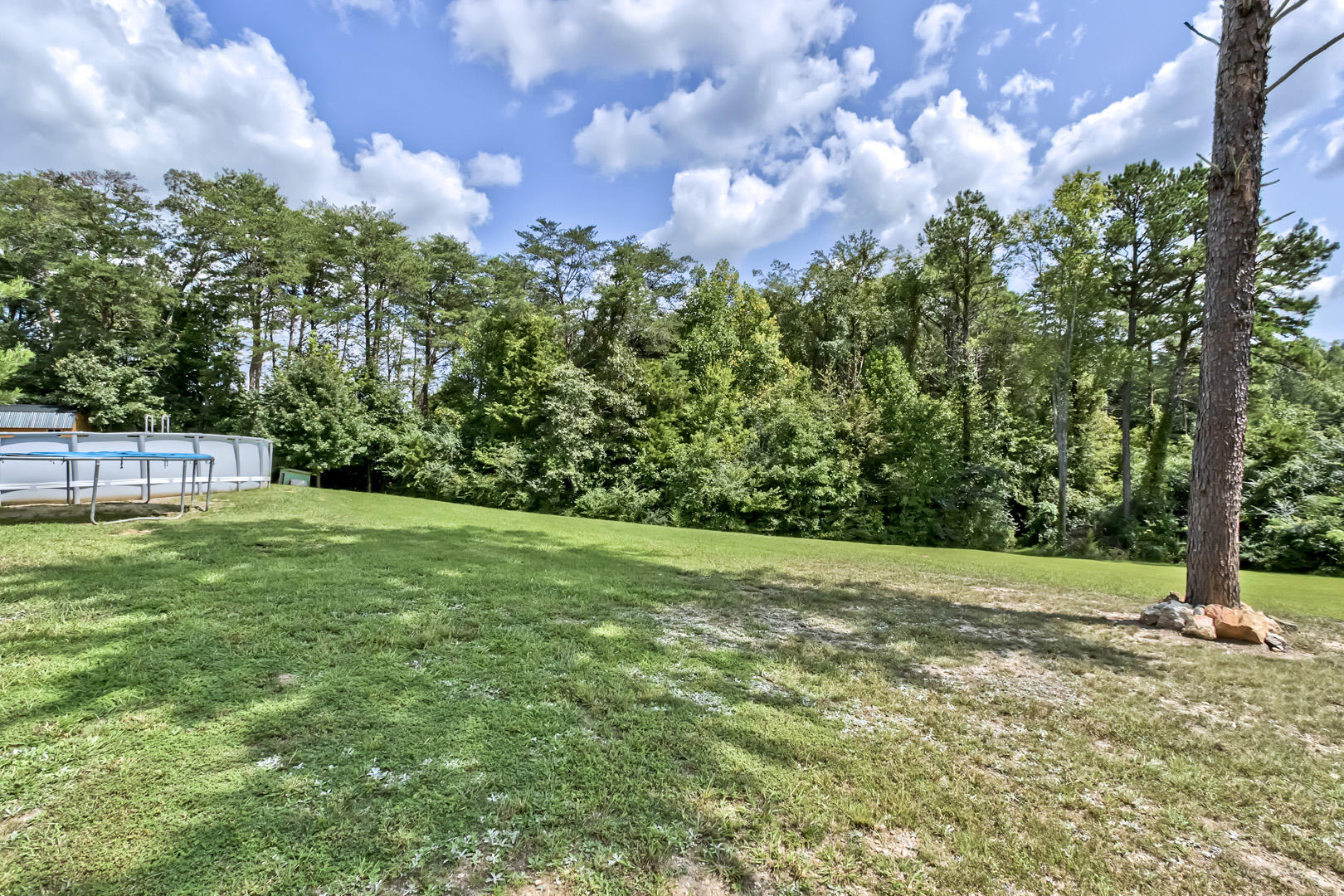 325 Henry Bidwell Road Decatur, TN 37322 - Photo 31 of 36 31_HenryBidwellLane_325_Backyard