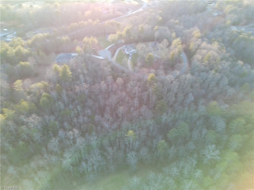 Lot 19 Burberry Drive Purlear, NC 28665 - Photo 4 of 4