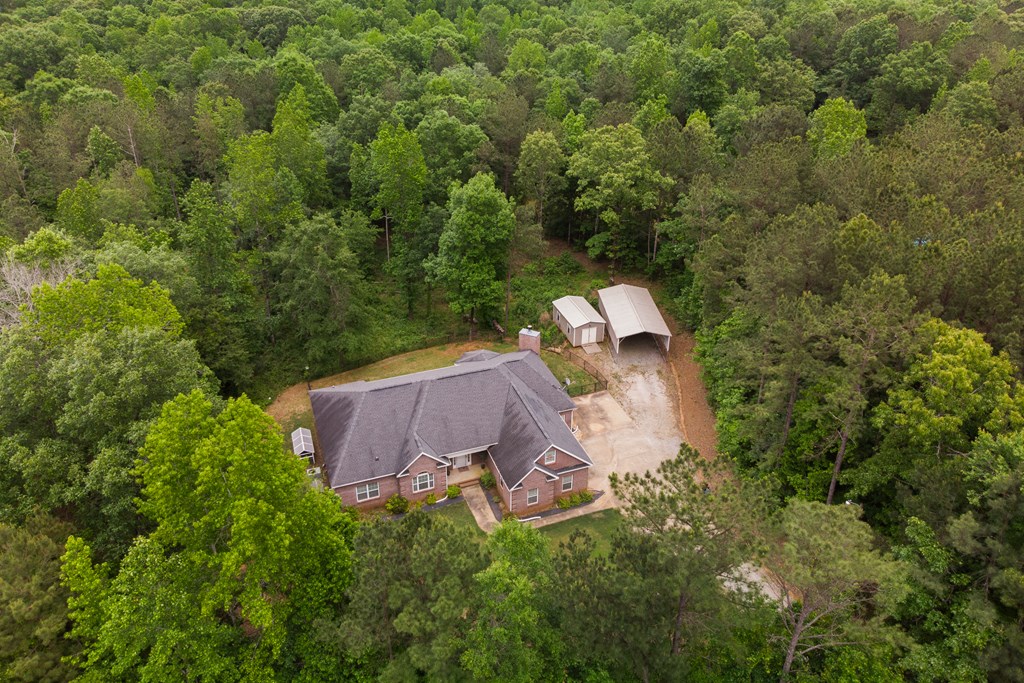 3200 Johnson Mill Road Hamilton, GA 31811 - Photo 3 of 30 Gallery Image 3