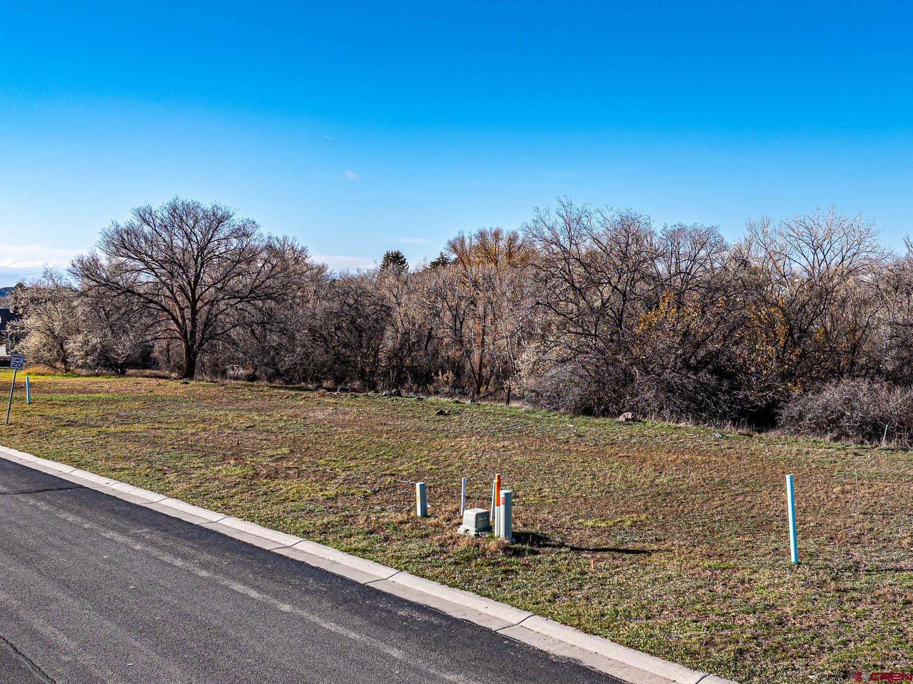 520 Southeast Stonebridge Drive Cedaredge, CO 81413 - Photo 3 of 15 a view of a yard