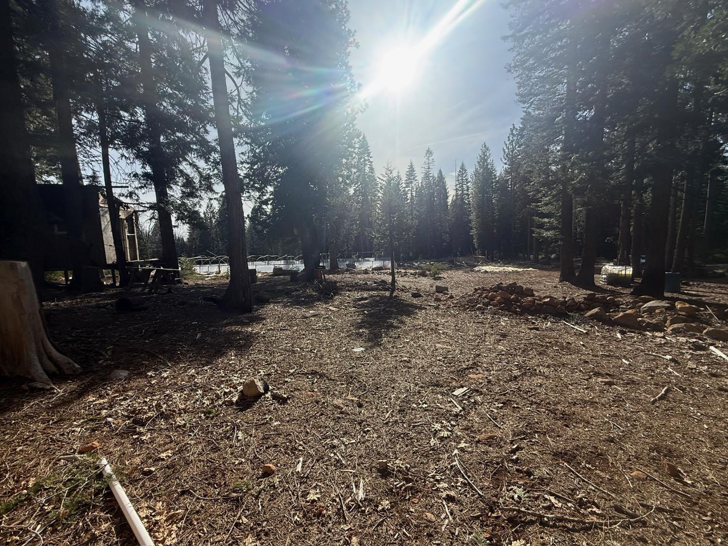 16127 Ophir Silver Road Nevada City, CA 95959 - Photo 12 of 20