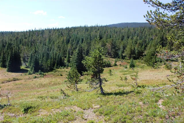 a view of a yard with a tree