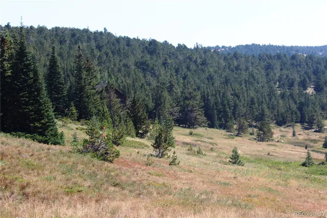 a view of a yard with a tree