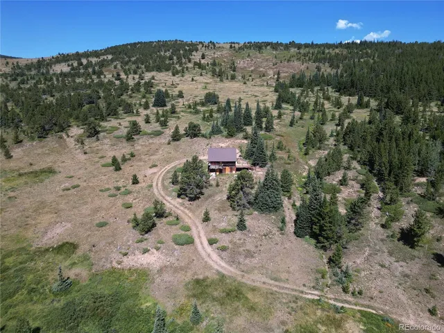 a view of a dry yard with lots of trees