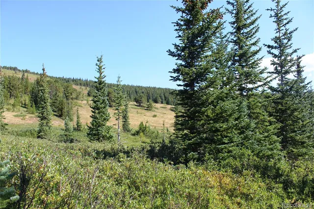 a view of a lake with a yard and mountain in the back
