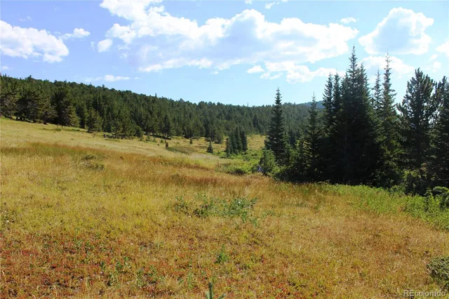 a view of a yard with an outdoor space