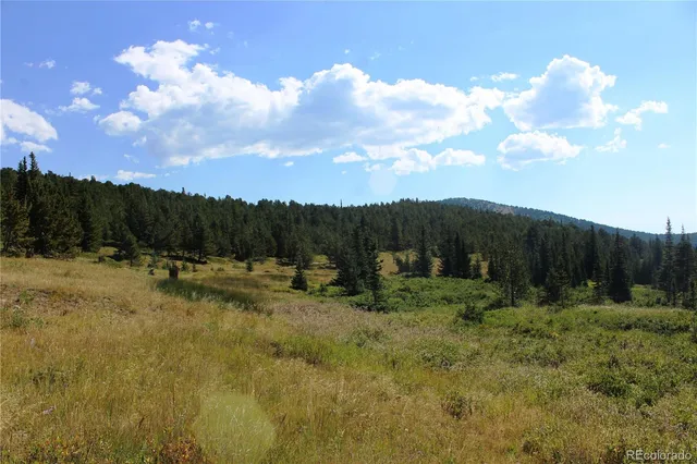 a view of a yard with an outdoor seating space