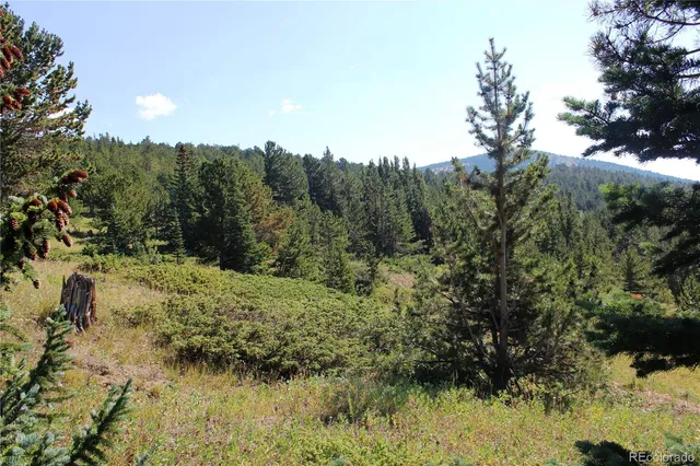 a view of a lake with a forest