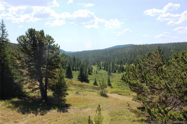 a view of a yard with a tree