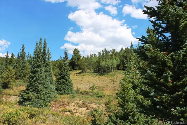 a view of a field with trees in the background