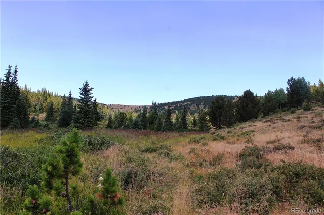 a view of mountain and tree