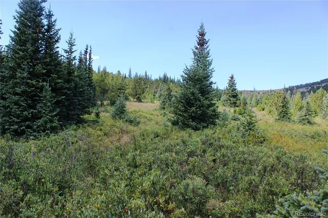 a view of a green yard