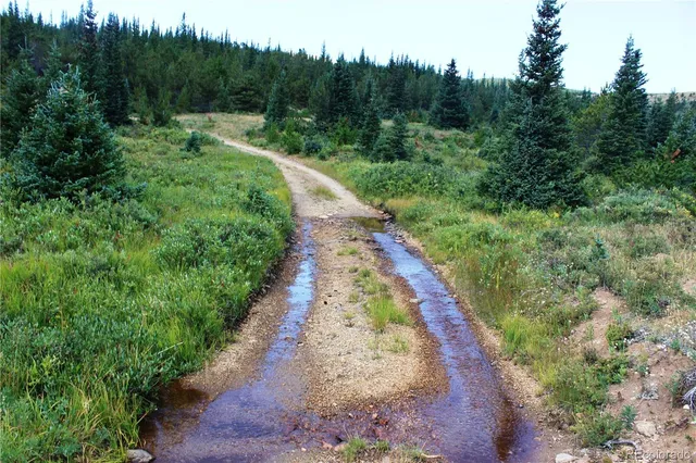 a view of a yard with trees