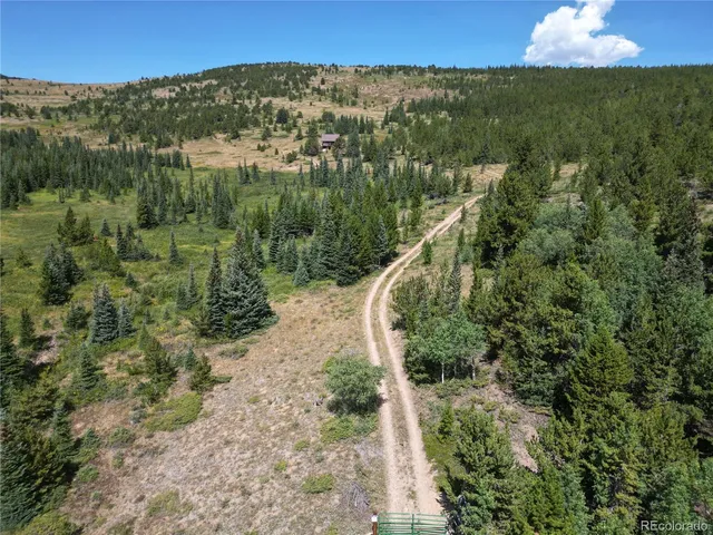 a view of a city with lush green forest