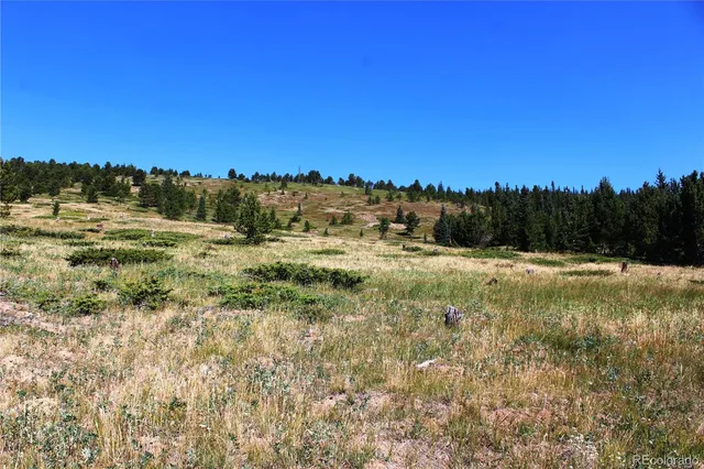 a view of a field with a tree in the background