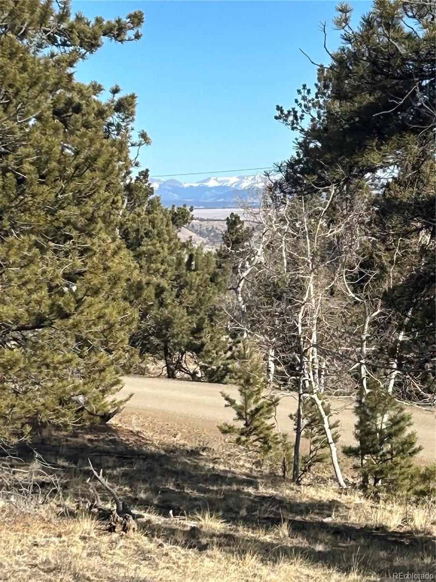 3430 Singletree Road Hartsel, CO 80449 - Photo 11 of 14