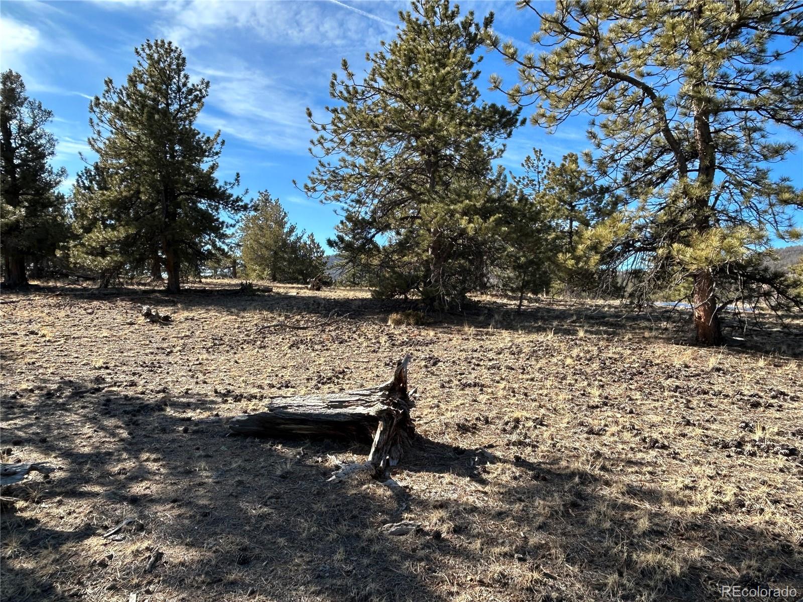 3430 Singletree Road Hartsel, CO 80449 - Photo 13 of 14