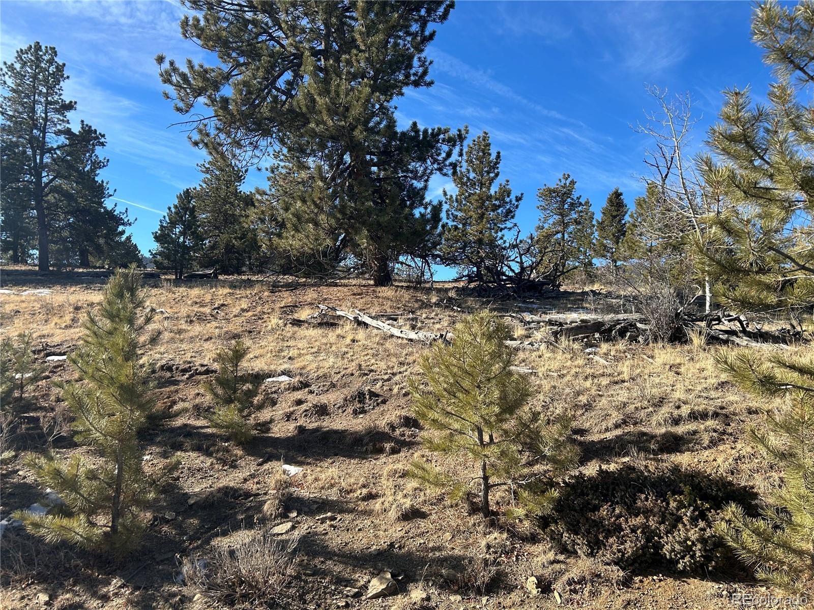 3430 Singletree Road Hartsel, CO 80449 - Photo 14 of 14