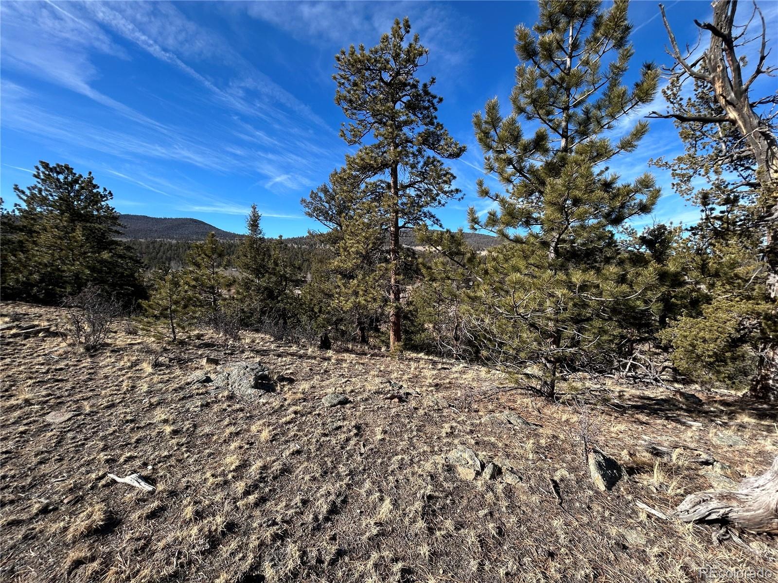 3430 Singletree Road Hartsel, CO 80449 - Photo 2 of 14