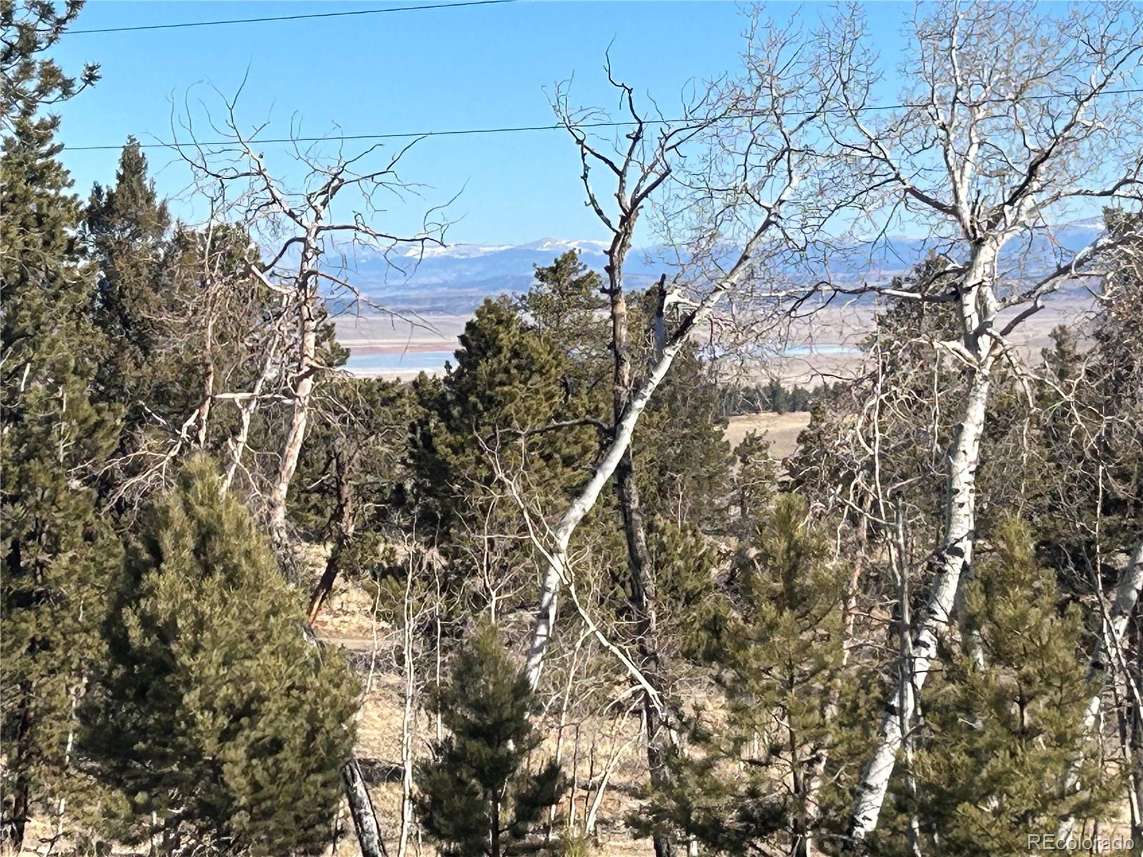 3430 Singletree Road Hartsel, CO 80449 - Photo 3 of 14