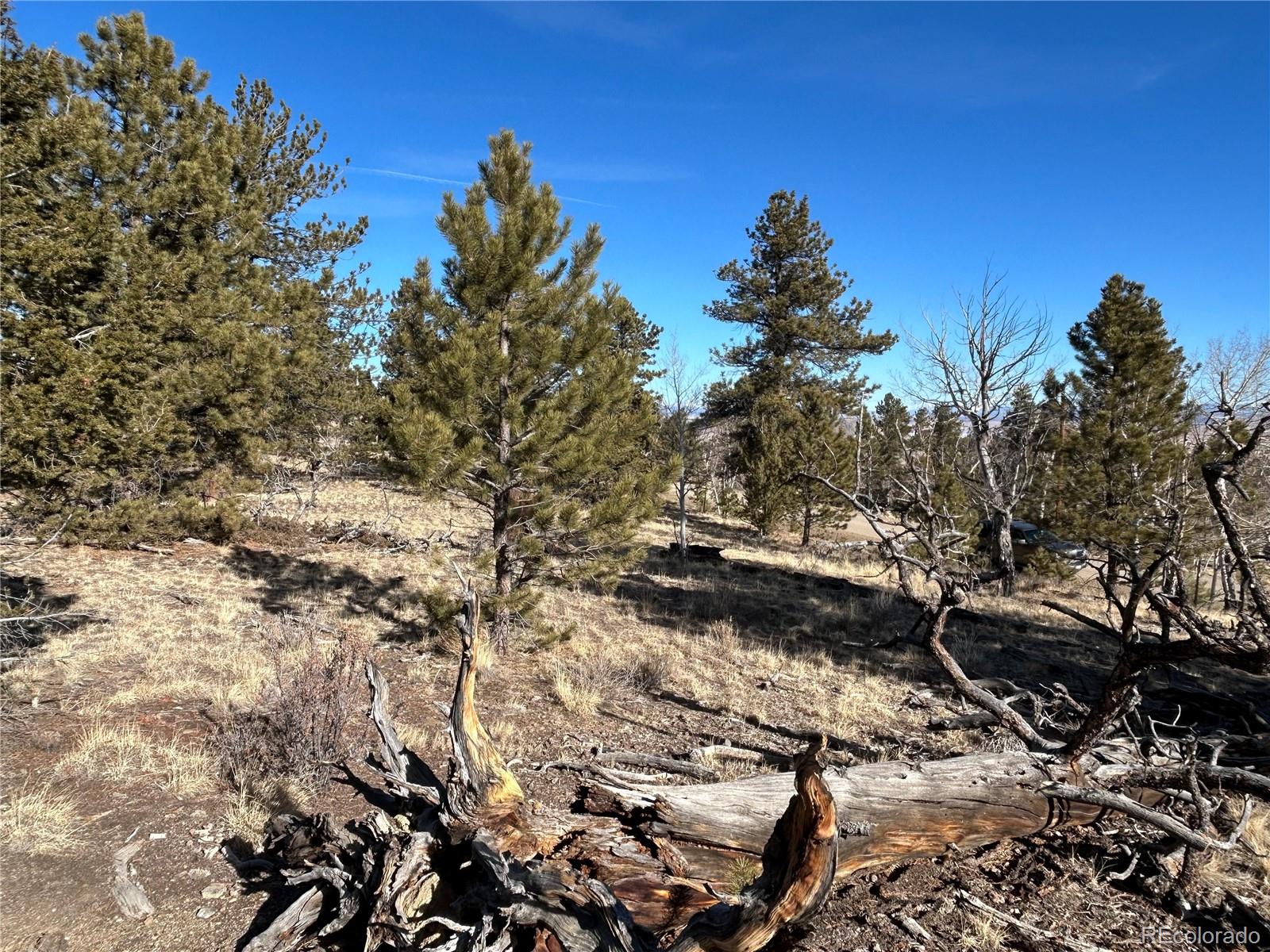 3430 Singletree Road Hartsel, CO 80449 - Photo 4 of 14