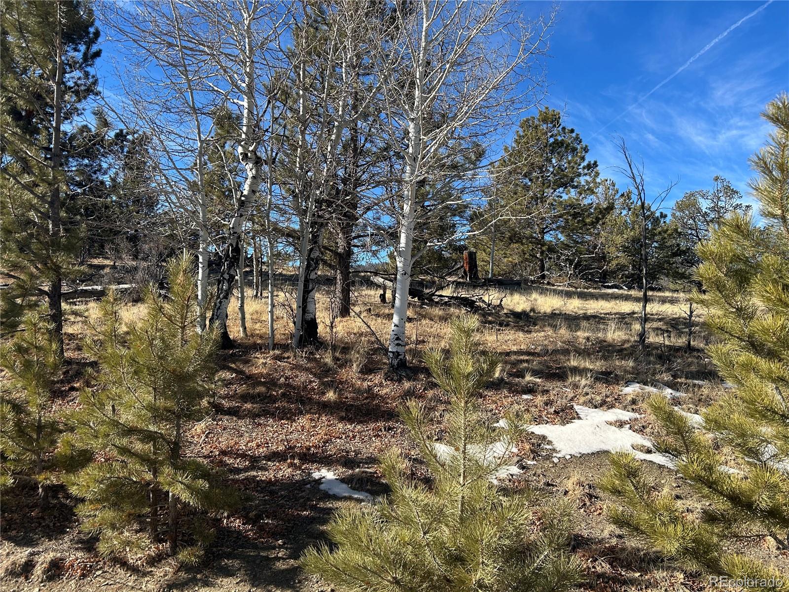 3430 Singletree Road Hartsel, CO 80449 - Photo 5 of 14