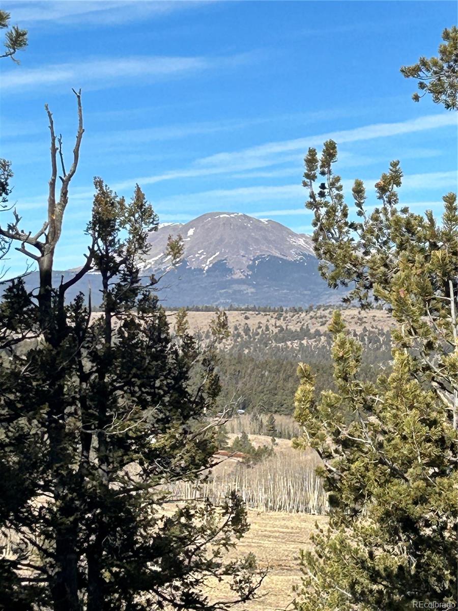 3430 Singletree Road Hartsel, CO 80449 - Photo 9 of 14
