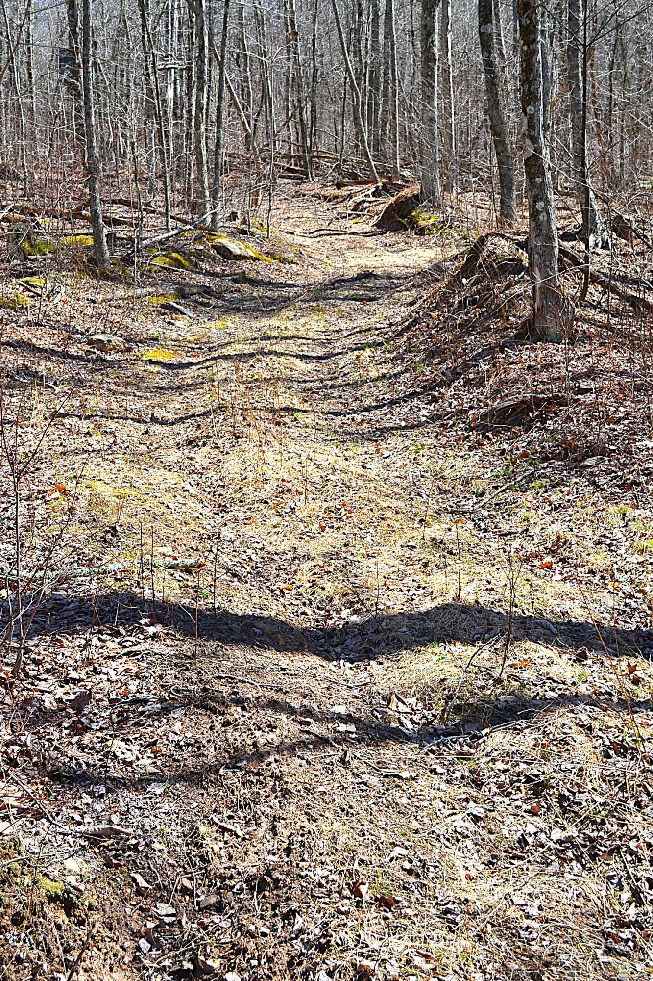 2245 Crowder Road Gap Mills, WV 24941 - Photo 37 of 41 1 Of 3-4 Trails On The Prpoperty