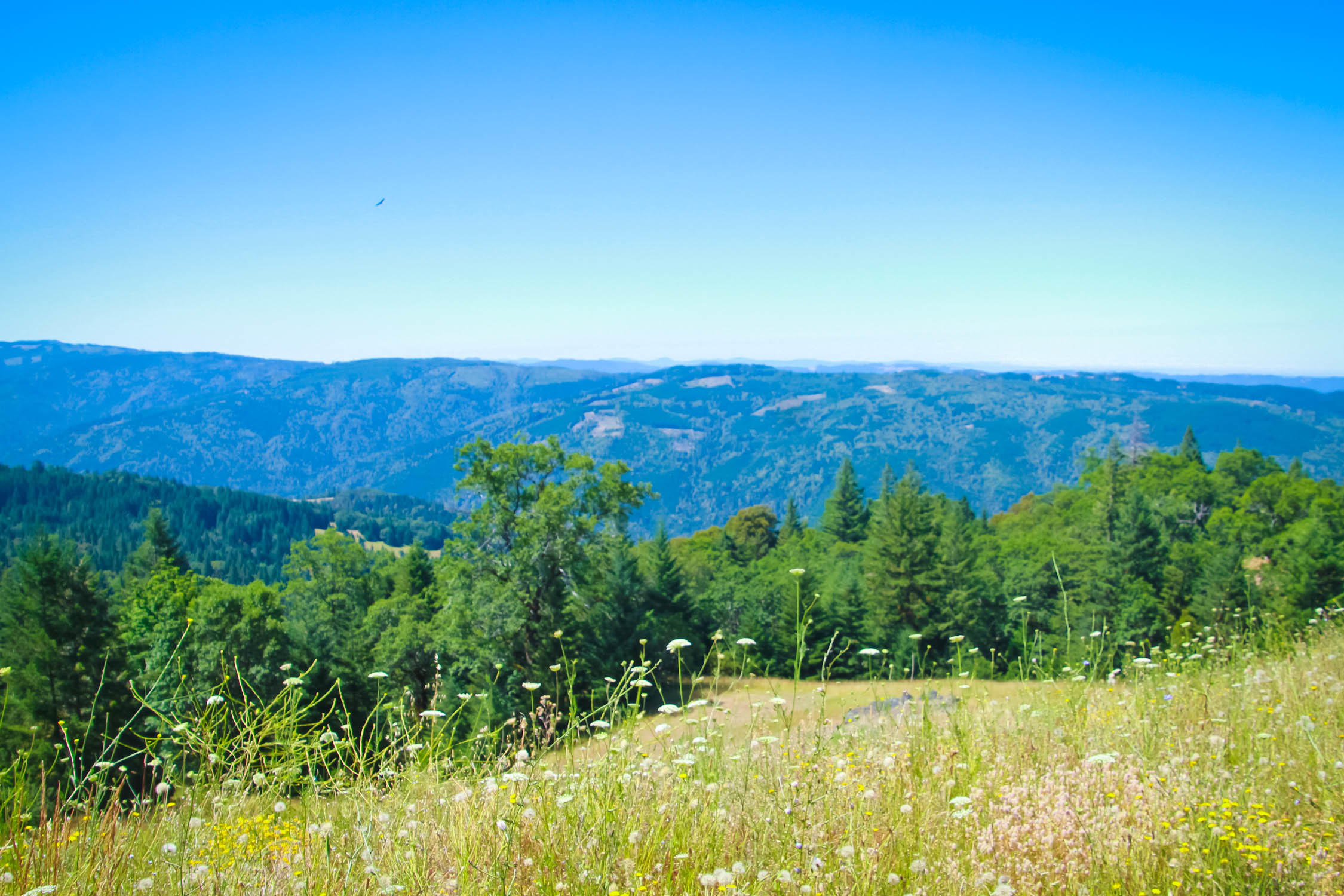 2292 Titlow Hill Road Blue Lake, CA 95525 - Photo 76 of 79