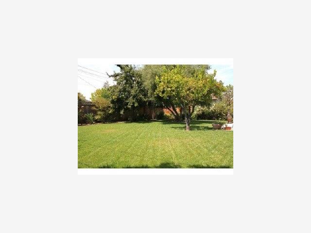 3095 Lowry Drive San Jose, CA 95118 - Photo 8 of 9