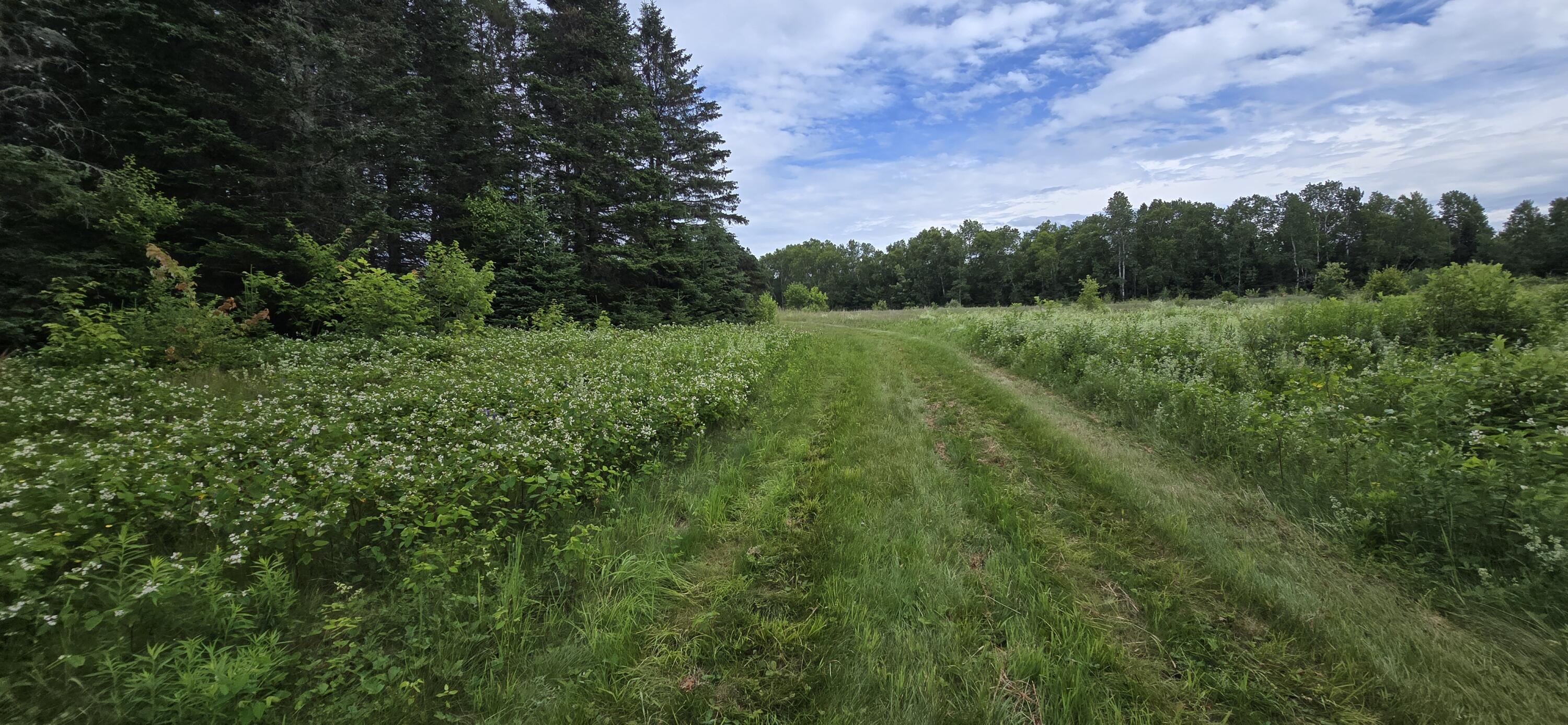 111 Currie Road Smyrna, ME 04780 - Photo 16 of 128 20260709_155711(1)