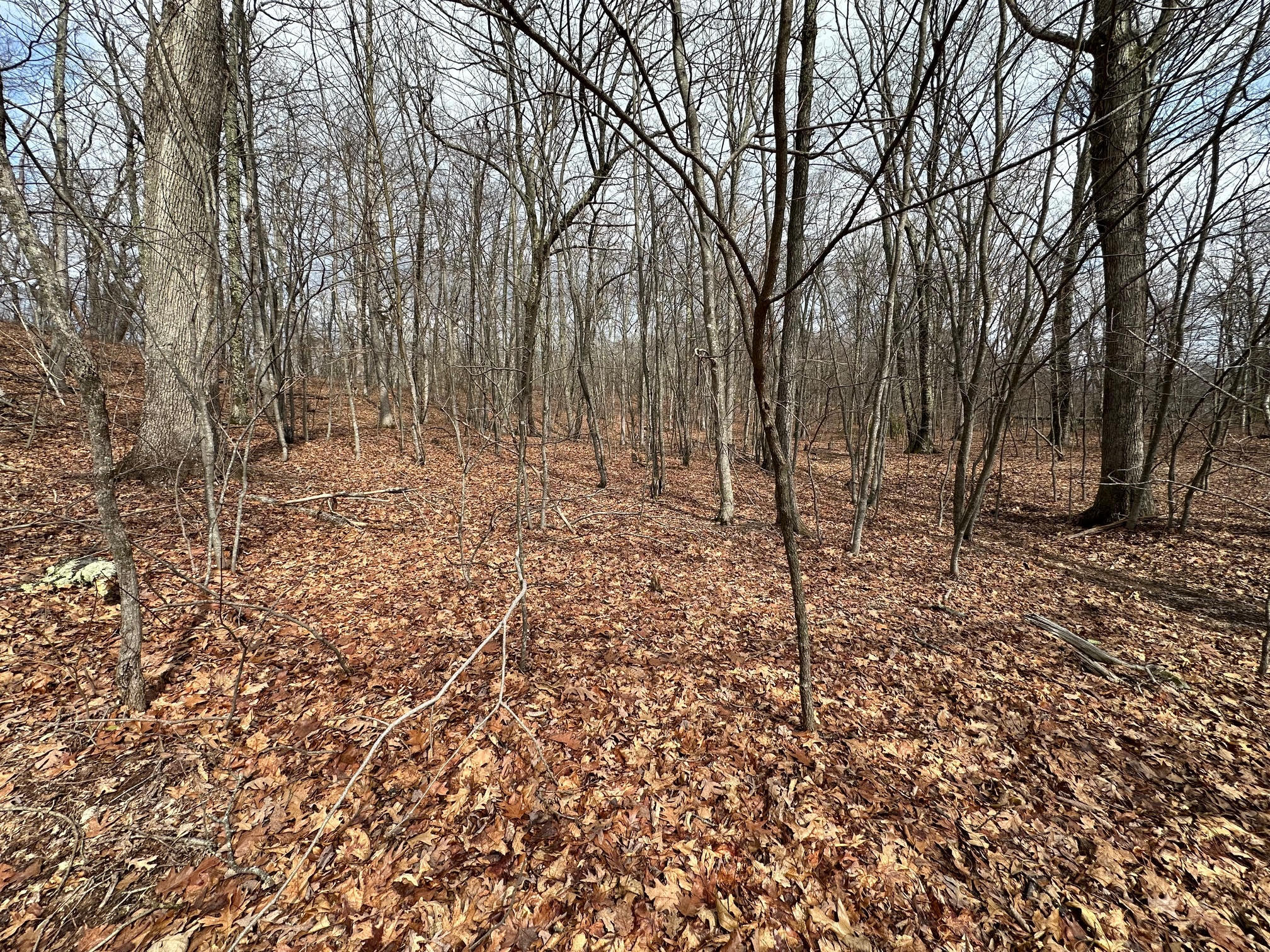 4001 Lignite Road Eagle Rock, VA 24085 - Photo 2 of 14 2-Wooded Acreage