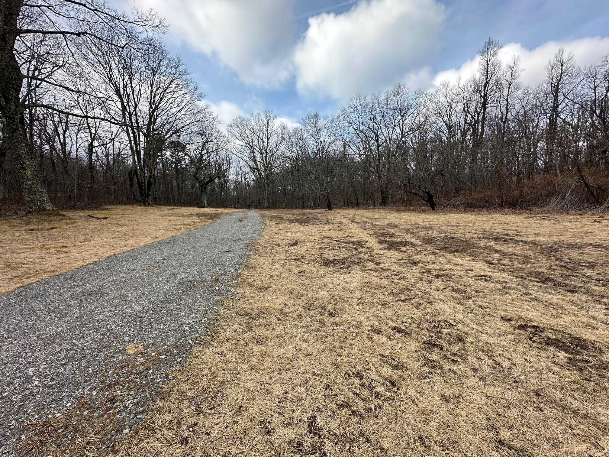 4001 Lignite Road Eagle Rock, VA 24085 - Photo 3 of 14 3-Driveway