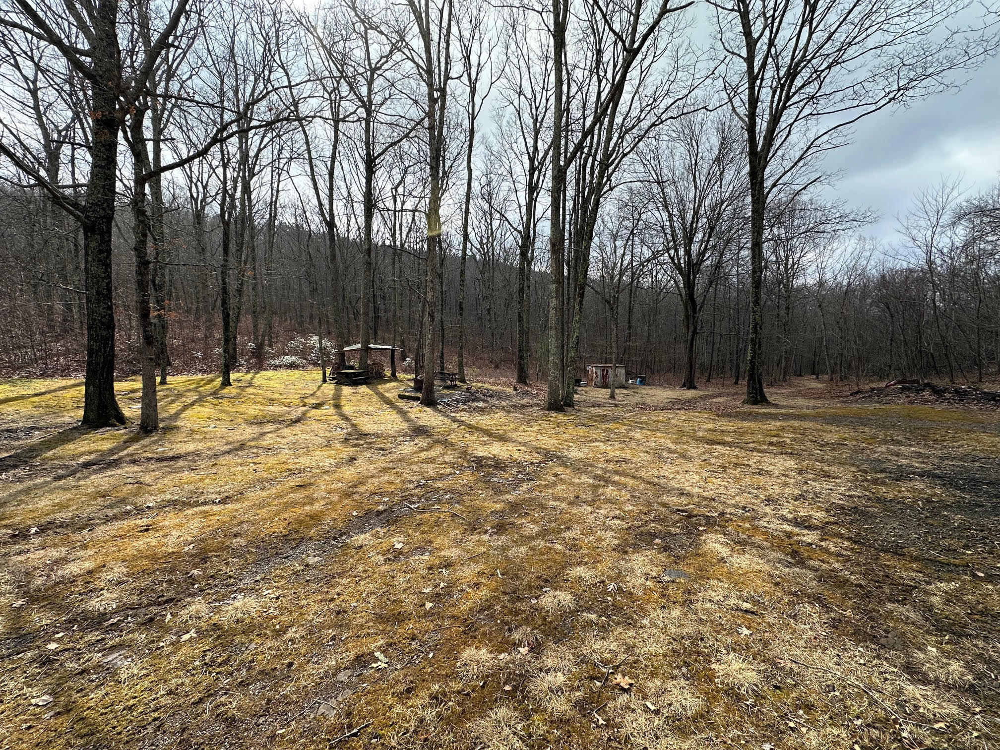 4001 Lignite Road Eagle Rock, VA 24085 - Photo 5 of 14 5-Front Yard