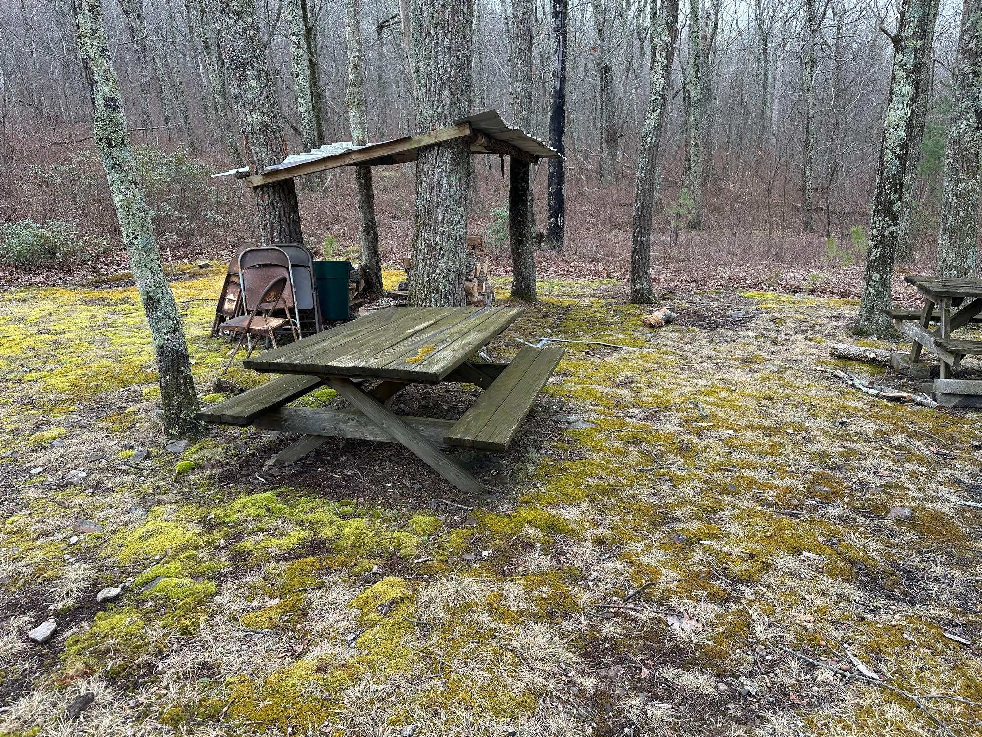 4001 Lignite Road Eagle Rock, VA 24085 - Photo 6 of 14 6-Picnic Area