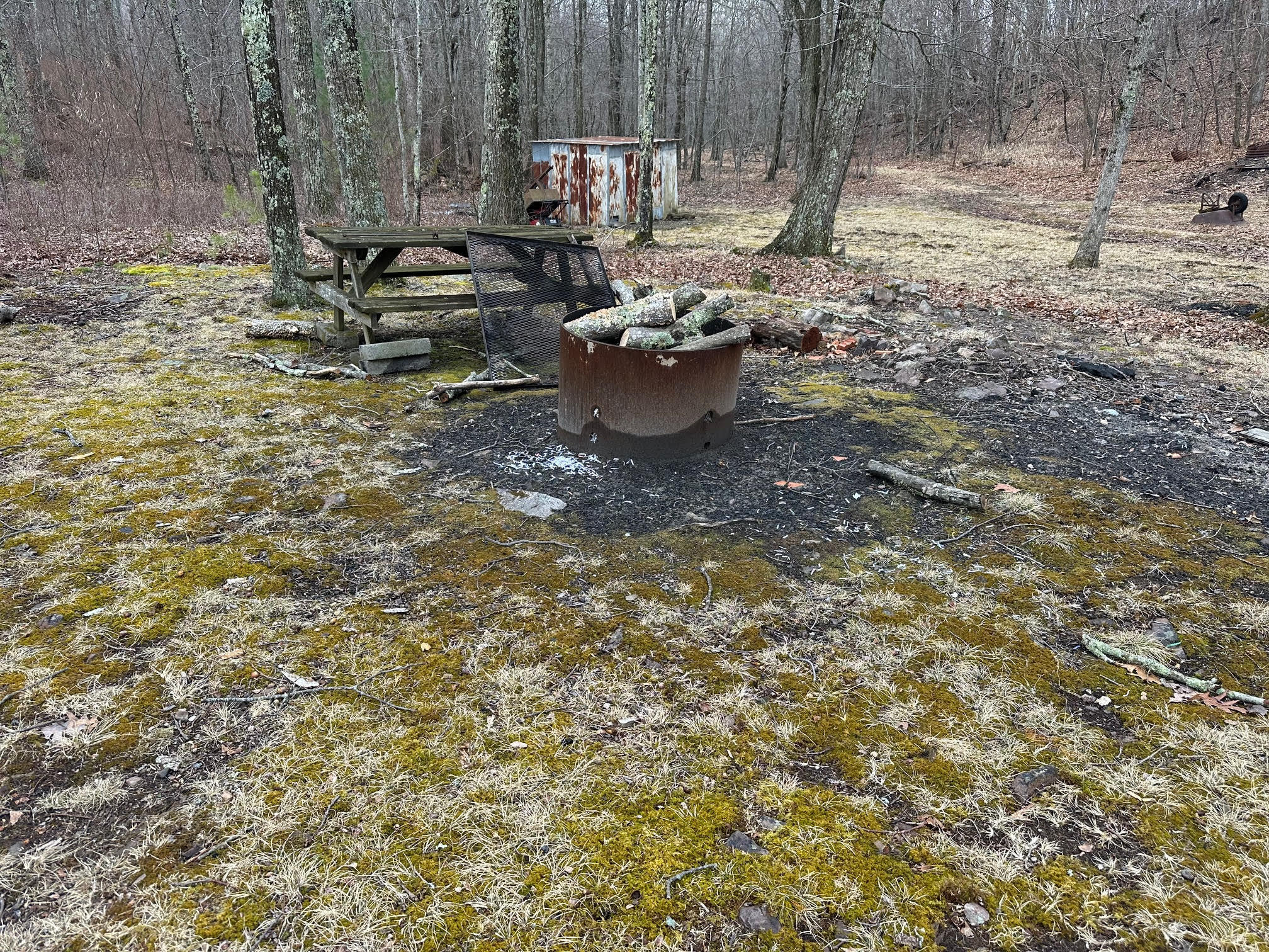 4001 Lignite Road Eagle Rock, VA 24085 - Photo 7 of 14 7-FirePit