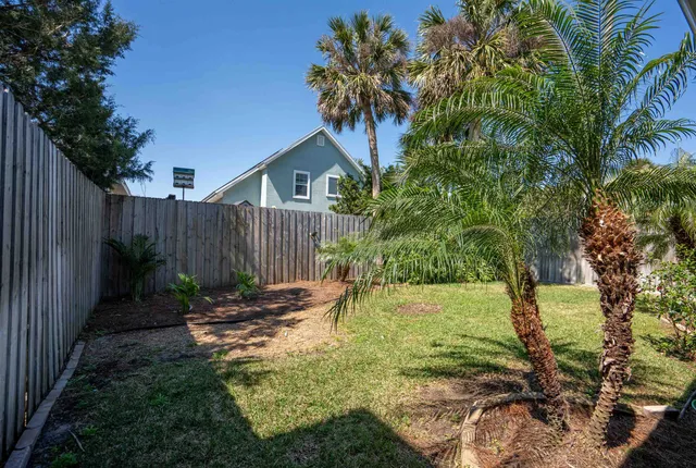 a view of a backyard with a plants and palm trees