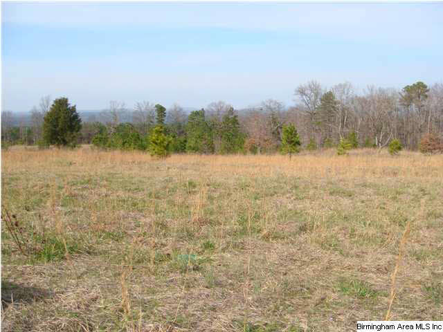 Pine Mountain Road, Unit 7 Springville, AL 35146 - Photo 6 of 11 Gallery Image 6