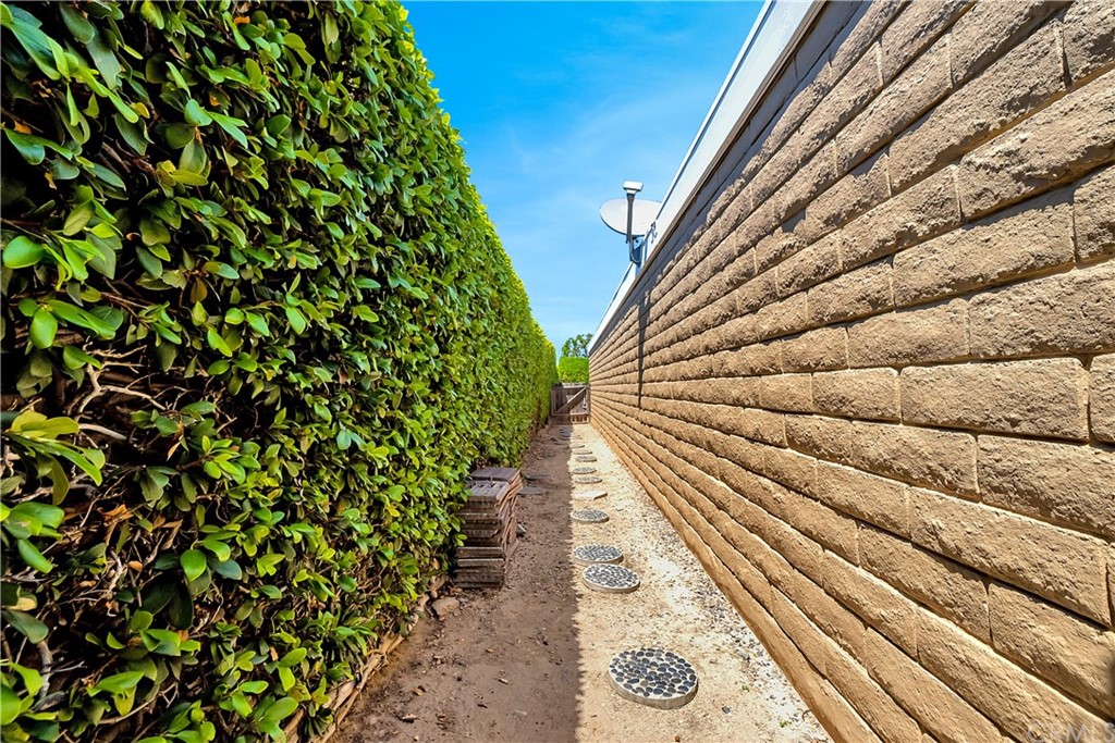 23802 Cassandra Bay Dana Point, CA 92629 - Photo 48 of 48 a view of a garden