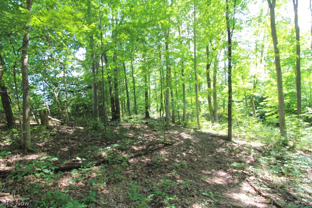 Delphi Road Freeport, OH 43973 - Photo 16 of 35 Gallery Image 16