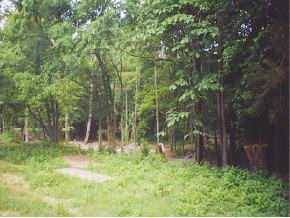 187 Liberty Hill Road Chuckey, TN 37641 - Photo 2 of 3 Photo 2