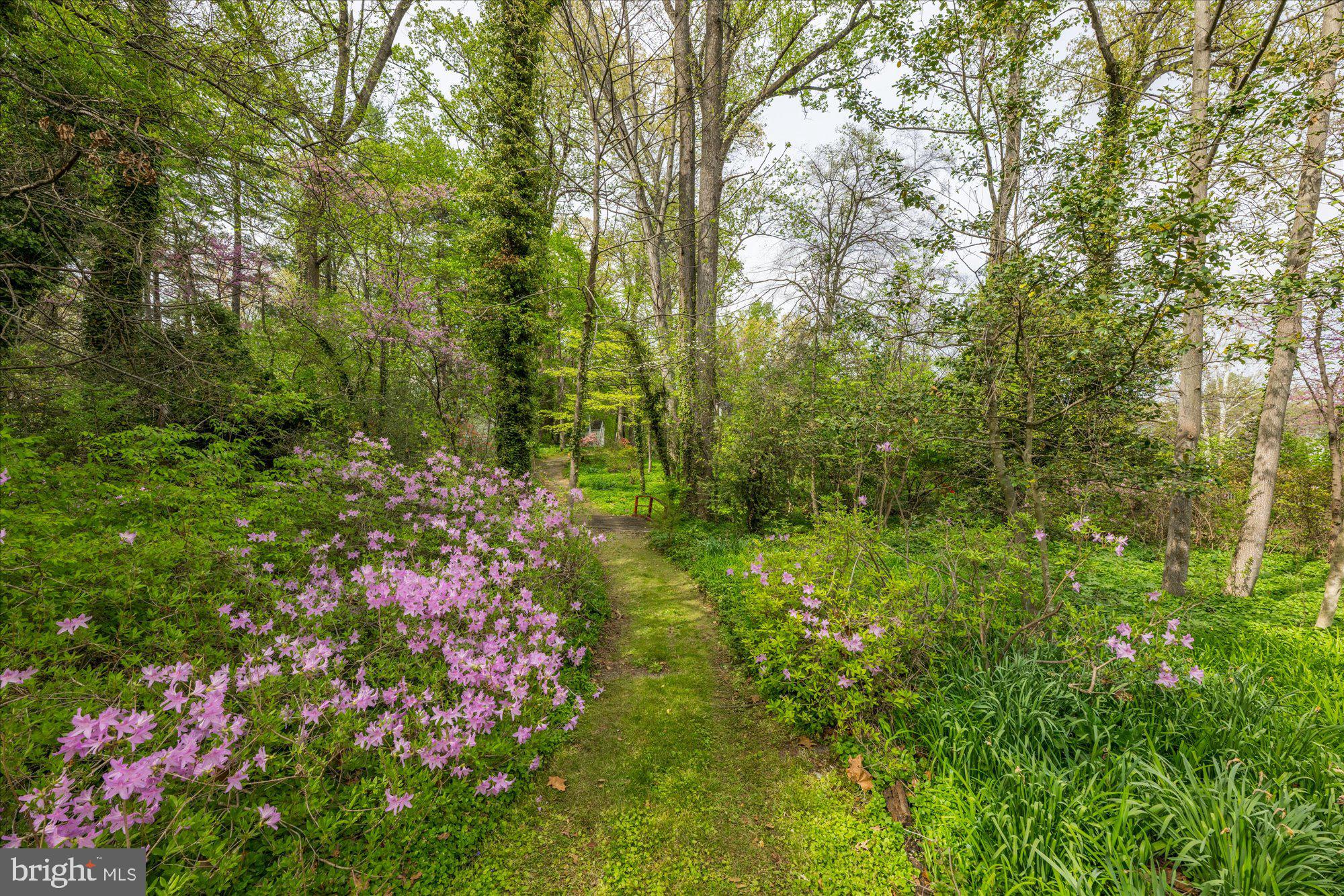 6013 Selvyn Road Bethesda, MD 20817 - Photo 54 of 54 Tranquil wooded surroundings. Welcome Home!