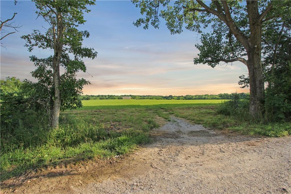 a view of a field with an trees