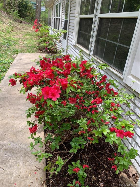 87 Long Ridge Road Candler, NC 28715 - Photo 37 of 37 Gallery Image 37