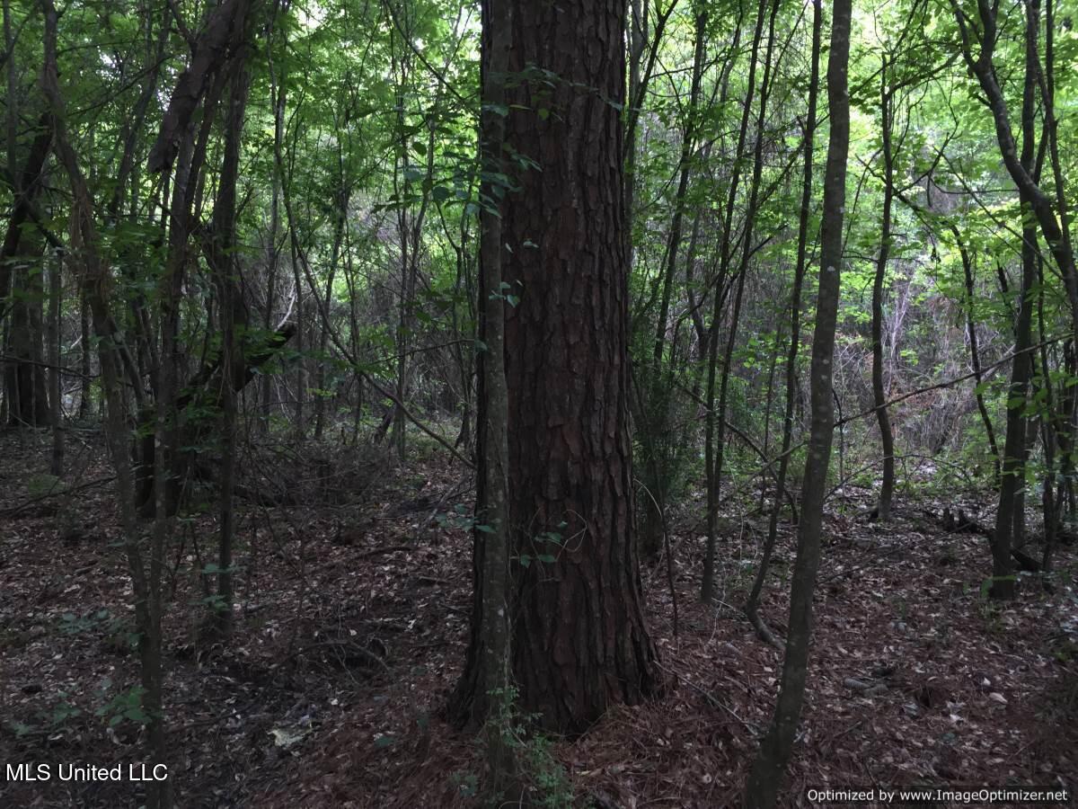 3001 Mallalieu Drive Ruth, MS 39662 - Photo 3 of 8 Photo Apr 23, 4 50 16 PM