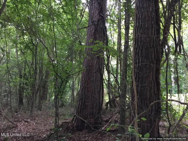 $280,000 | 3001 Mallalieu Drive, Ruth, MS 39662