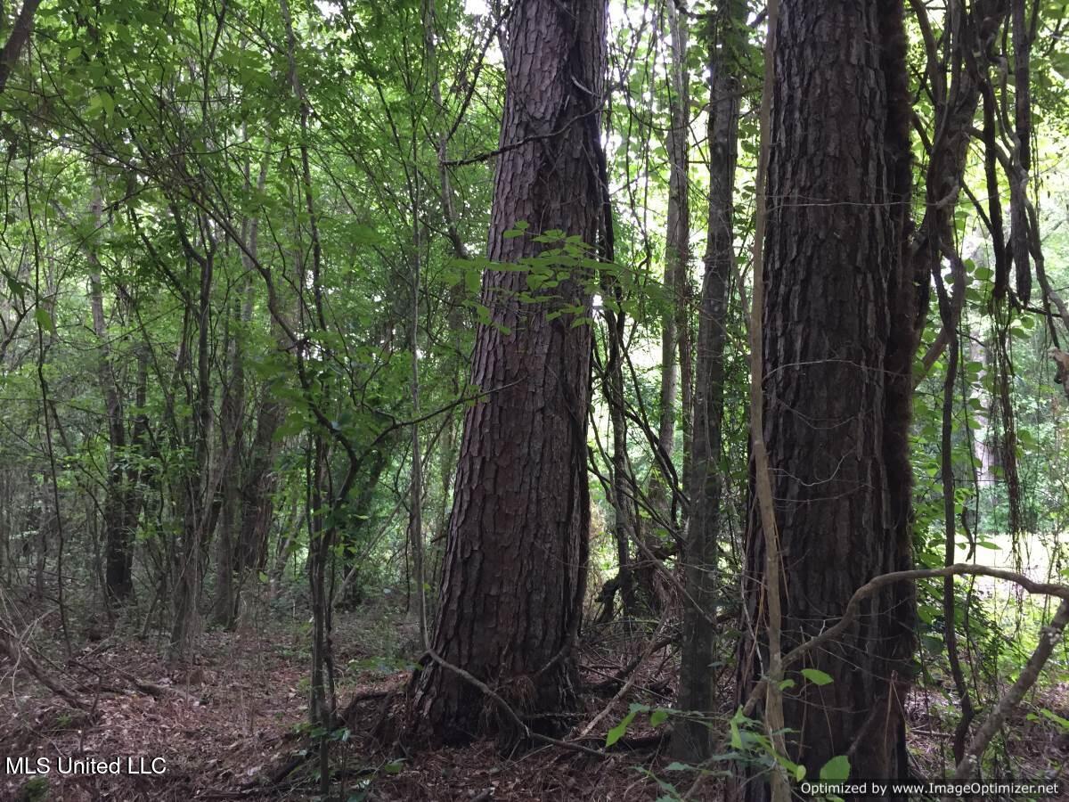 3001 Mallalieu Drive Ruth, MS 39662 - Photo 4 of 8 Photo Apr 23, 4 50 23 PM