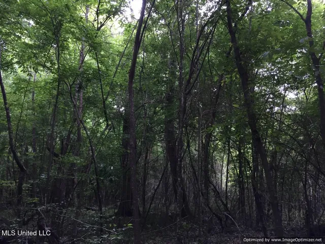 $280,000 | 3001 Mallalieu Drive, Ruth, MS 39662