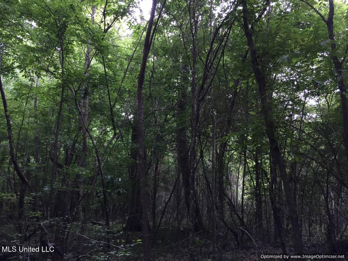 3001 Mallalieu Drive Ruth, MS 39662 - Photo 5 of 8 Photo Apr 23, 4 50 48 PM